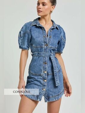Showpo Blue Denim Button-Front Mini Dress